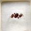review_photo
